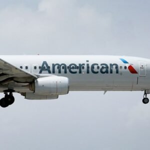 Passenger Assaults Flight Attendant on American Airlines Flight - Thumbnail