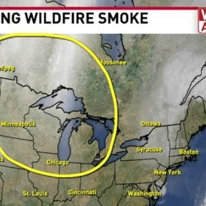 Tracking Wildfire Smoke Map and Its Effects in CNY - Thumbnail