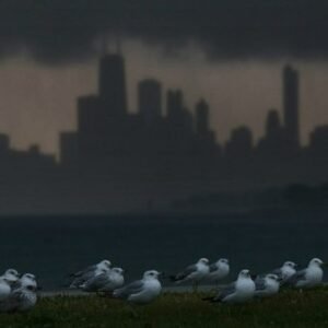 Chicago Weather: Thunderstorms Expected Today - Thumbnail
