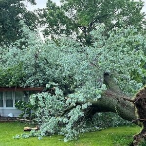 Tornado Warning Near Me: Community Rallies After Storm Damage - Thumbnail