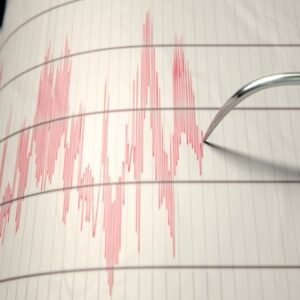 Magnitude 2.5 Earthquake Shakes Los Angeles, Communities React - Thumbnail