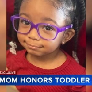 Family Mourns Toddler Amid Amber Alert Tragedy - Thumbnail