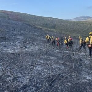 Claro Fire Update: Wildfire Near Me in Carlsbad Contained - Thumbnail