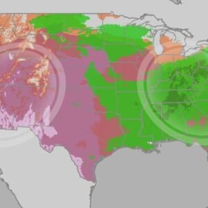 Father’s Day Weekend Weather: Storms and Heat Ahead - Thumbnail
