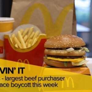 Nationwide McDonald’s Boycott Aimed at Corporate Accountability - Thumbnail