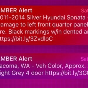 No Charges Filed in Tacoma Amber Alert Incident - Thumbnail