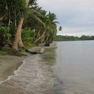 Fiji Village Faces Sea Level Rise: New Adaptation Strategies - Thumbnail