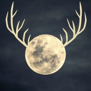 The Buck Moon Tonight: A Celestial Show like No Other - Thumbnail