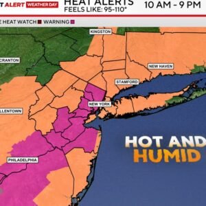 Extreme Weather NYC: Extreme Heat and Thunderstorms Expected Today - Thumbnail