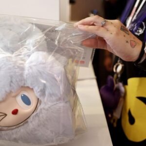 Labubu Doll Burglary: The Frenzy Behind this Viral Sensation - Thumbnail