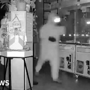 Masked Thieves Steal Labubu Dolls in California Heist - Thumbnail