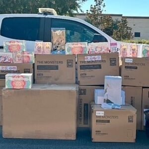 Labubu Craze: $30,000 Worth of Collectibles Recovered in SoCal - Thumbnail