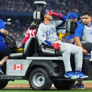 Miguel Amaya Injured Again: Cubs Catcher Carted Off Field - Thumbnail