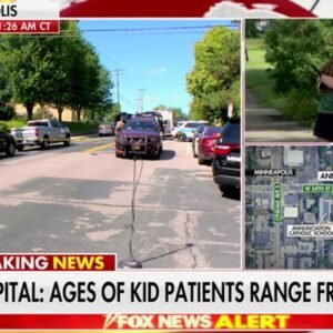 Trey Gowdy Sparks Controversy Over Gun Control Remarks - Thumbnail