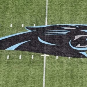 Carolina Panthers Fire PR Employee Charlie Rock Over Controversy - Thumbnail