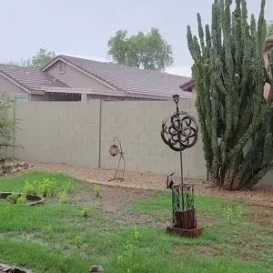 Severe Tucson Weather: Heavy Rain and Flooding Impact Residents - Thumbnail