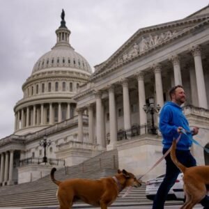 Government Shutdown Senate Vote Today: Stalemate Continues - Thumbnail