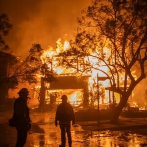 Arrest Made in Connection with the Deadly Palisades Fire - Thumbnail
