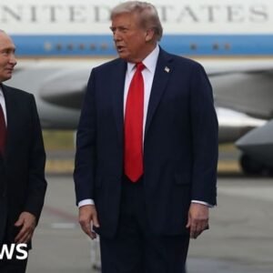 Putin and Trump: New Dynamics in Ukrainian Conflict Ahead of Zelensky Meeting - Thumbnail