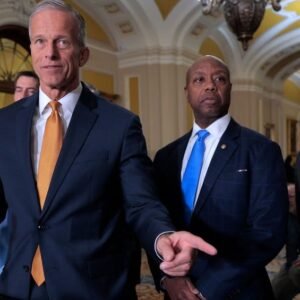 Senate Democrats Face Crisis Amid Government Shutdown Challenges - Thumbnail