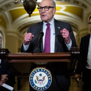 Why is the Government Shutdown Happening? Explore the Causes - Thumbnail