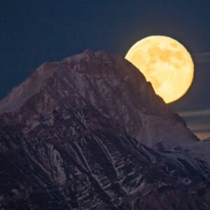 Experience the Magic of the Harvest Moon: A Celestial Wonder - Thumbnail