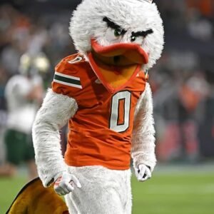 Exciting Moments Ahead for SMU Football This Season - Thumbnail