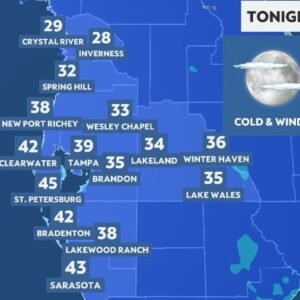 Weather in Miami: Chilly Mornings and Mild Days Ahead - Thumbnail