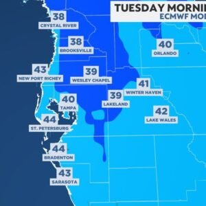 Near Record Cold Weather Hits Orlando: What to Expect - Thumbnail