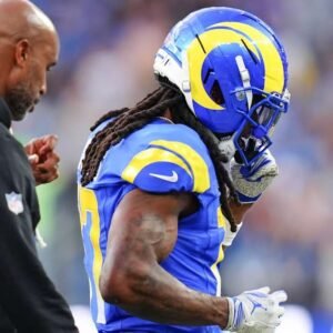 Bears Standings Update: Injury News from Week 15 Games - Thumbnail