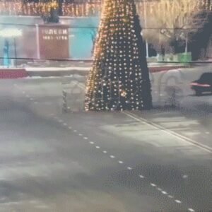 Late-night Joyride Ends with Driver Crashing into Christmas Tree - Thumbnail