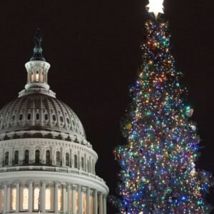 Federal Holidays 2025: Trump Grants Extra Days Off for Employees - Thumbnail