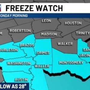 Widespread Freeze Warning Hits Texas: What You Need to Know - Thumbnail