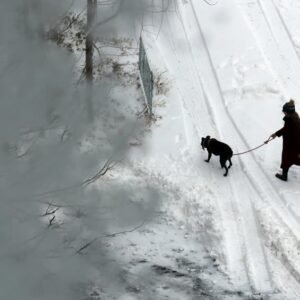 Ice Storm Warning: Severe Weather Impacts Millions Across the US - Thumbnail
