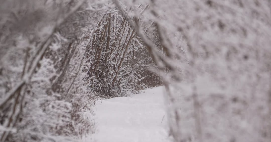 Lake Effect Snow Warning: Prepare for Heavy Snow in New York