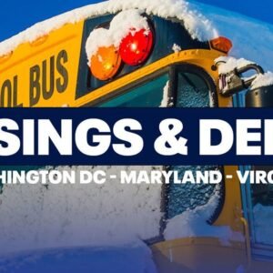 Richmond Weather: Snow Impacts Commute and School Closures - Thumbnail