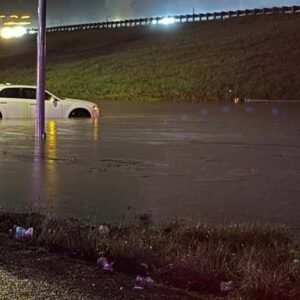 Skagit County Floods: Catastrophic Weather Events Strike Washington - Thumbnail