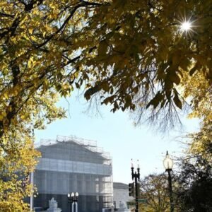 Supreme Court Upholds Texas Congressional Map Ahead of Midterms - Thumbnail