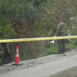 Texas Serial Killer 2025 Rumors: Experts Say Claims Are False - Thumbnail