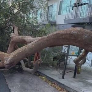 Powerful Tornado Warning Alerts for Bay Area Residents - Thumbnail