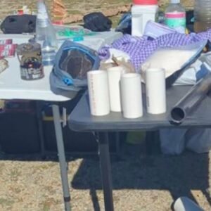 FBI Arrests Four in Turtle Island Plot, Details Unveiled - Thumbnail