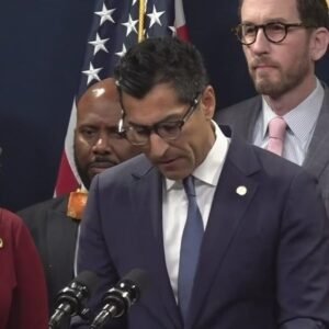 California Democrats Urge Support Following Alex Pretti Shooting - Thumbnail