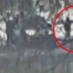 Tragic Incident in Minneapolis: ICE Shooting Sparks National Discussion - Thumbnail