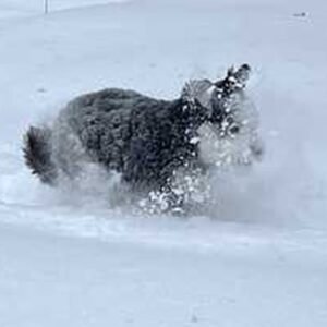 Boston Public Schools Weather Winter Challenges - Thumbnail