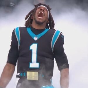 Cam Newton Returns for Panthers Wild Card Playoff Excitement - Thumbnail