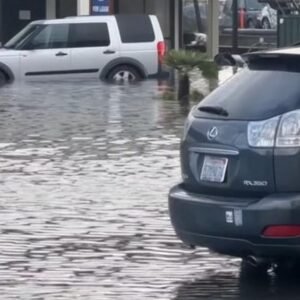 Flooding Nightmare Strikes San Francisco Bay Area Residents - Thumbnail