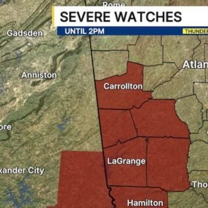 Georgia Tornado Watch: Severe Weather Unfolds in Meriwether County - Thumbnail