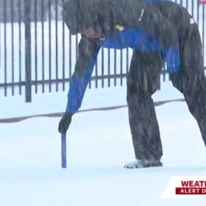 How Much Snow Did DC Get? Latest Reports from Recent Snowstorm - Thumbnail