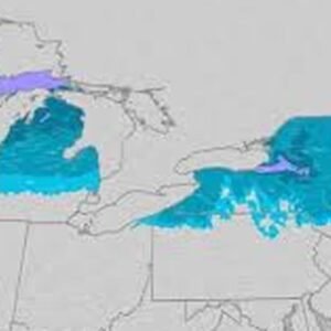 Lake Effect Snow Warning: Severe Weather Hits the Midwest - Thumbnail