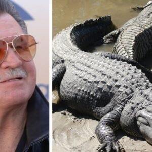 Mike Ditka’s Alligator Ritual: A Chicago Bears Tradition - Thumbnail